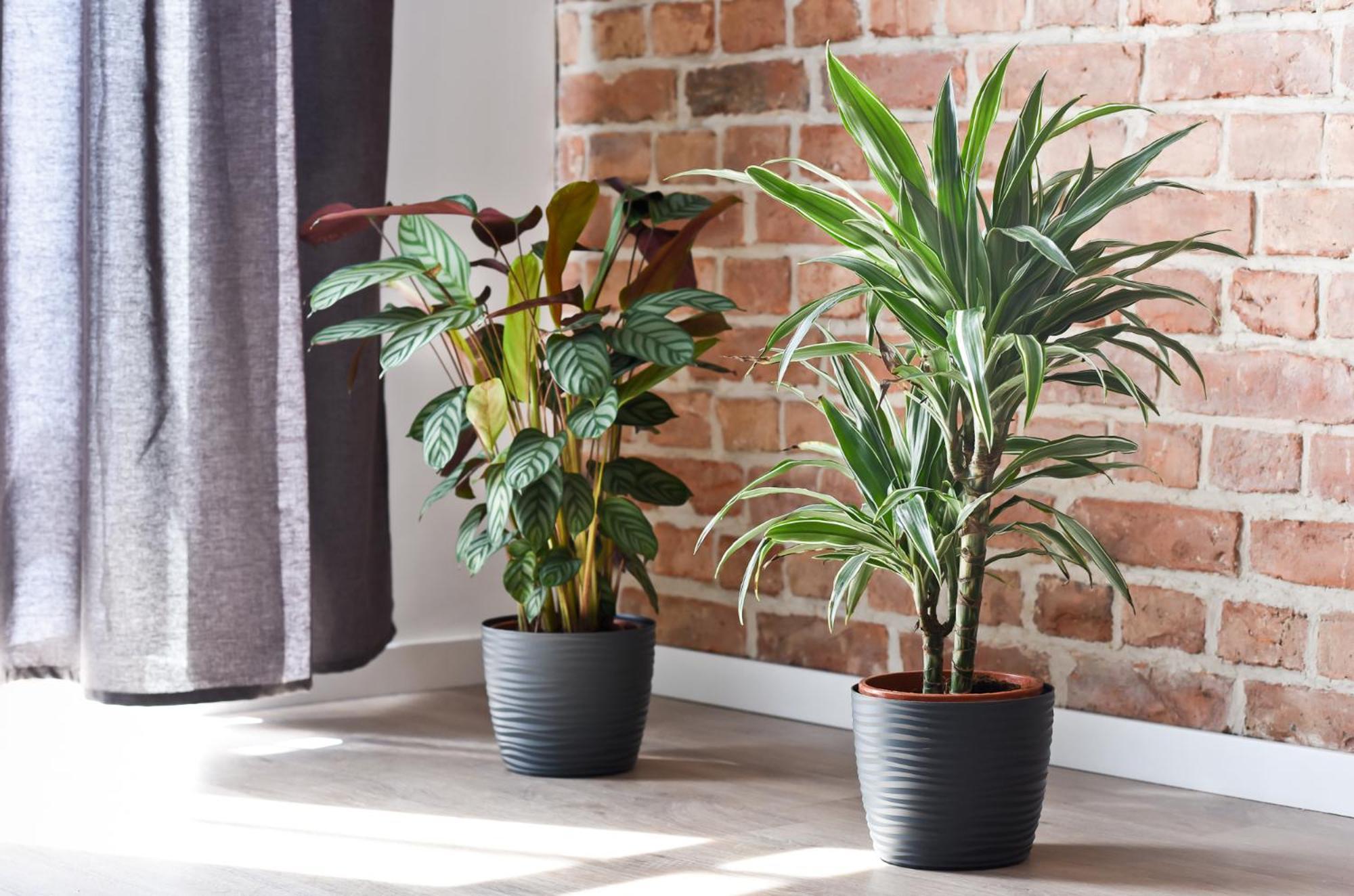 Green Garden Apartment Thorn Exterior foto